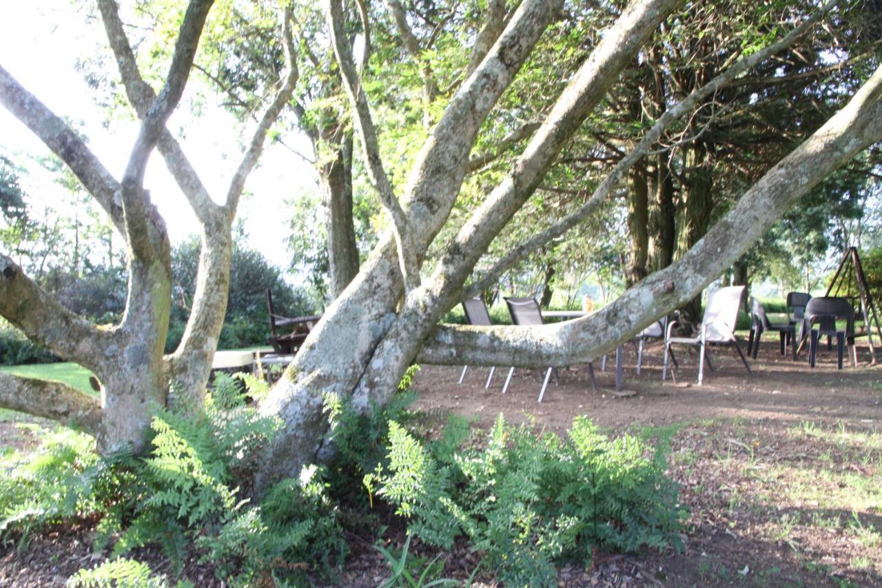 Farm stay Baldinnie